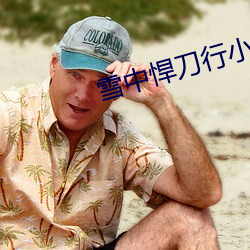 雪中悍刀行小說