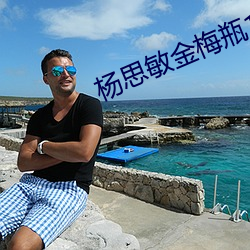 杨思(思)敏金梅(梅)瓶1一(一)5集(集)电视剧