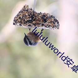 lululuworld׿d