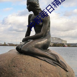 冲哥每(每)日精选
