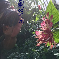 尊龙凯时-人生就是搏!