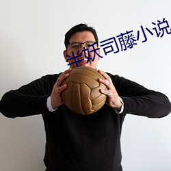 半妖司藤小说