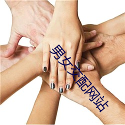 男女交配网站
