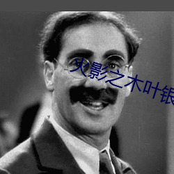 火(火)影之(之)木叶(葉)银(銀)狼