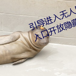 引导(dǎo)进(jìn)入无人区卡一卡二卡三乱码入口(kǒu)开放隐藏彩蛋福(fú)利(lì)