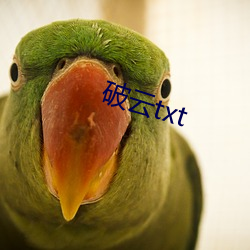 破云(雲)txt