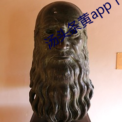 汤头条黄app下(xià)载