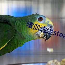 嗜血边缘steam