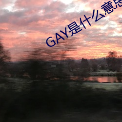 GAY是什么意思