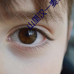 山(shān)里汉(hàn)一妻二(èr)夫