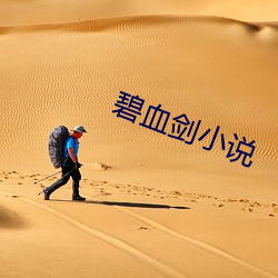 碧血剑小说