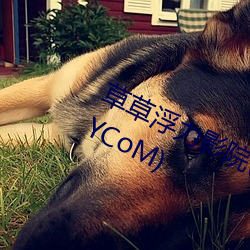 草草浮力(力)影院(院)(浮力影院草草影(影)院CCYYCoM)