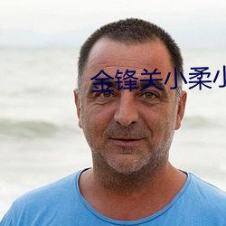 金锋关小柔小说 （加枝添叶）