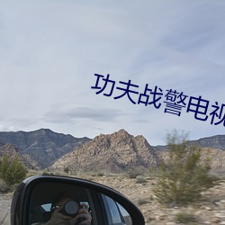 功夫战警电视剧免费观看