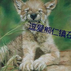 &#29087;&#x5987;&#19982;&#x5C0F;&#20249;&#x5B50;&#38706;&#x8138;&#23545;&#x767D;(2024)&#22312;&#x7EBF;&#35266;&#x770B; [1080P] - &#x4E0D;&#21345;&#x5728;&#32447;&#x64AD;&#25918;