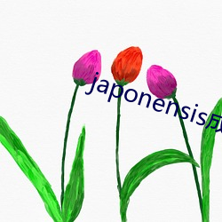 japonensis