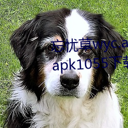 忘忧草wyc.apk1055:忘忧草wyc.apk1055下载地址