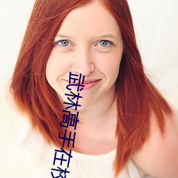 武林高手在校園