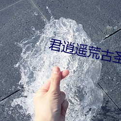 君逍(xiāo)遥荒古圣体