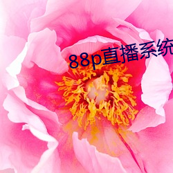 88pֱϵͳ ʿգĿ