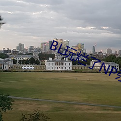 BL玩烂了NP杂交