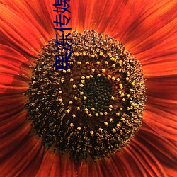 果凍傳媒李娜