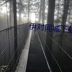 伊对同城下载