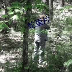 輪裏片