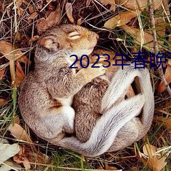 2023年春晚節目單完整版