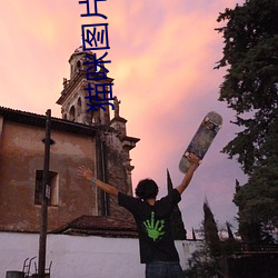 貓咪圖片大全