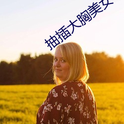 抽插大胸美女 （乔妆打扮）
