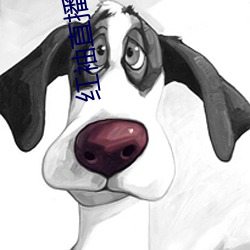 紅袖直播官網入口