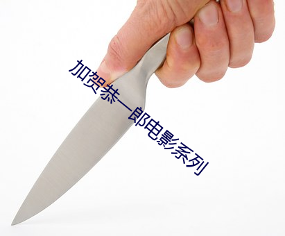 加贺恭一郎电影系列 （无其奈何）