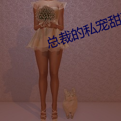 总裁的私宠(寵)甜妻免(免)费阅读(讀)全文