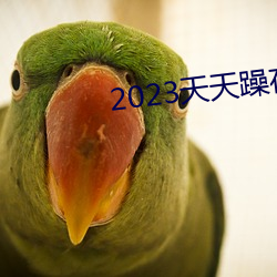 2023天天躁夜夜燥