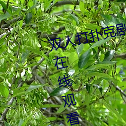 双人打扑克剧烈运动视频高清免费在线观看完整版去广告
