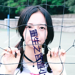 重生之官道小说