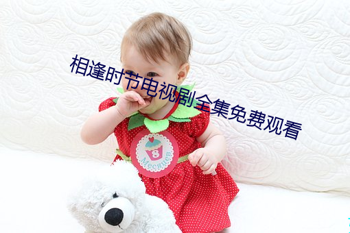 相逢时节电视剧全集免费观看 季布一诺）