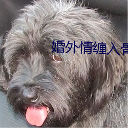 婚外情纏入骨第22章