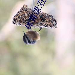 體育課:在操場上被老師抱在懷裏幹到哭著高