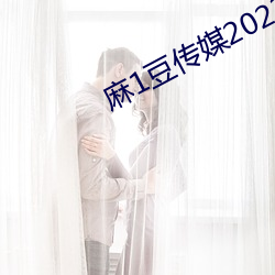 麻1豆传媒2023精品 （扶危济困）