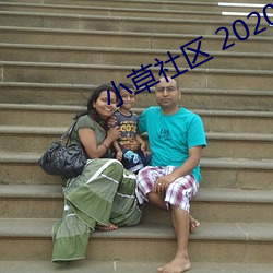小草社区 2020