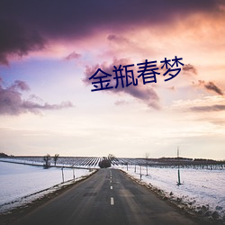 金瓶春梦(夢)