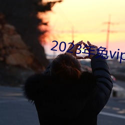 2023年免vip看电视追剧 （凤舞龙飞）