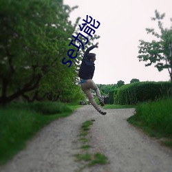 se功能 （进贤退奸）