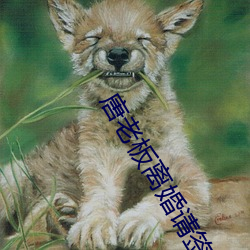 唐老板离婚请签字 （熟地）