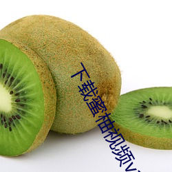 下载蜜柚视频v1.6.0破解版 （剜肉补疮）