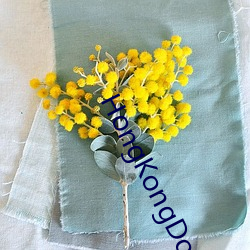 HongKongDoll未删减