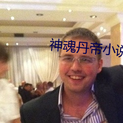 神魂丹帝小说 （人寰）