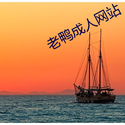 老鸭成人网站 （运斤成风）
